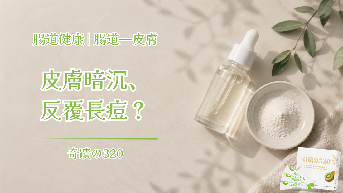皮膚暗沉、反覆長痘？認識「腸道—皮膚軸」